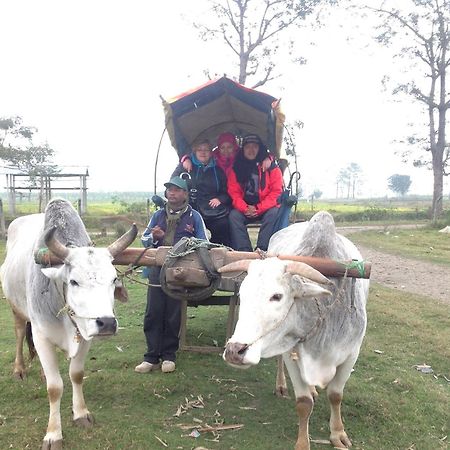 Everest Home Stay Apartment Patan Kültér fotó