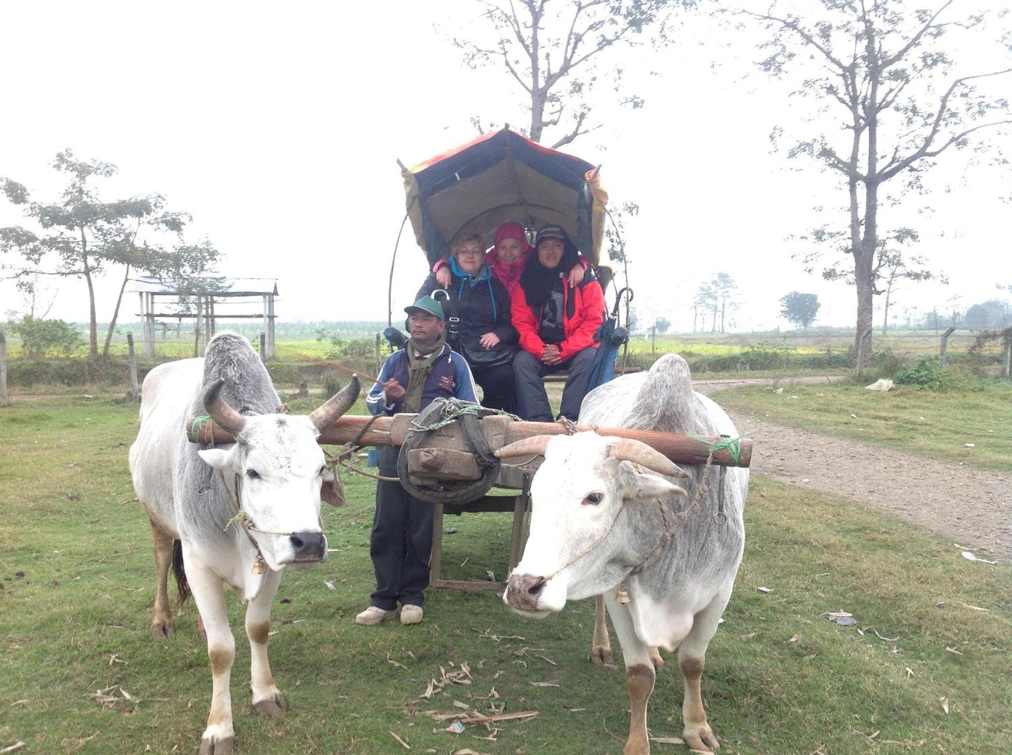 Everest Home Stay Apartment Patan Kültér fotó